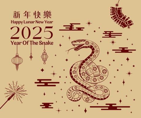 寧士全體員工祝各位2025新年快樂!蛇年行大運!